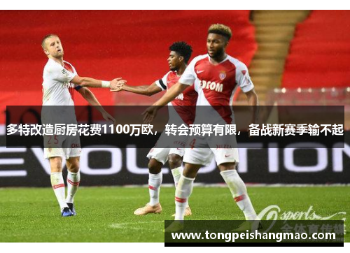 多特改造厨房花费1100万欧，转会预算有限，备战新赛季输不起